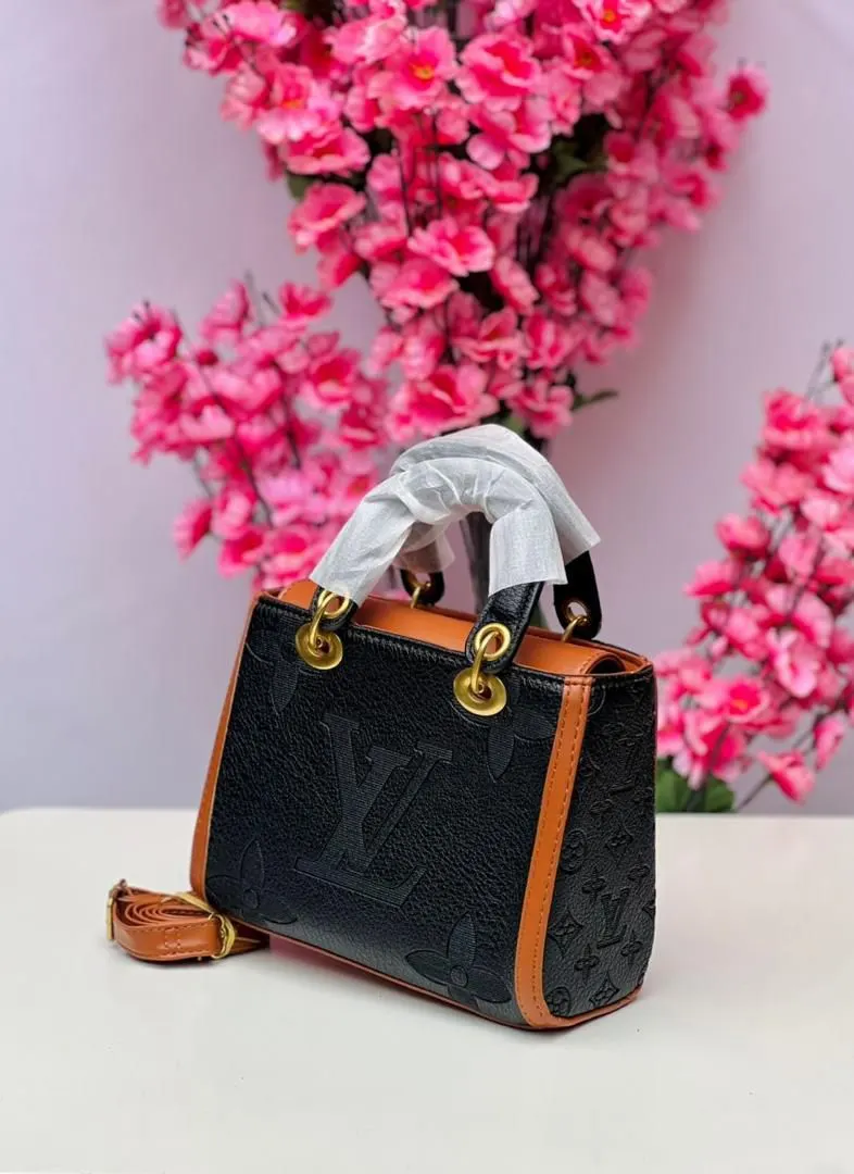 LV bag